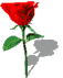 flores imágenes-animadas-gif